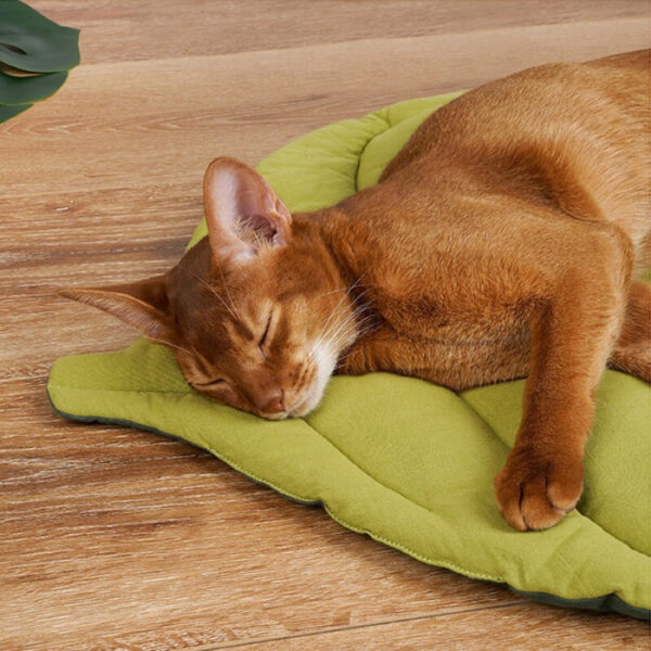 Leaf Comfy Cat Bed - Image 3