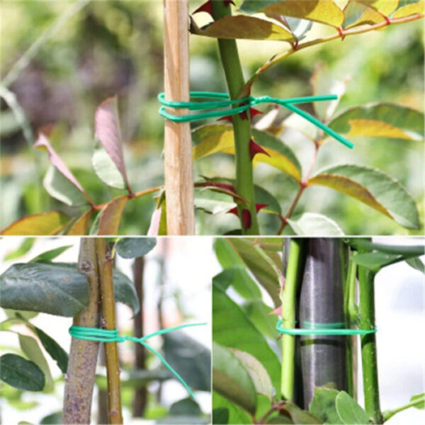 Grow Strong Plants: Garden Plant Fixed Rope (Green, Durable) - Image 3