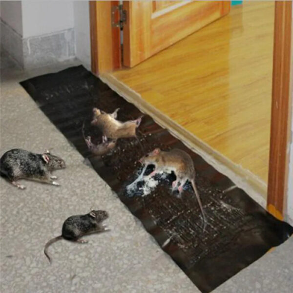 Effective Rat And  Pest Glue Traps - Safe, Odorless, and Waterproof