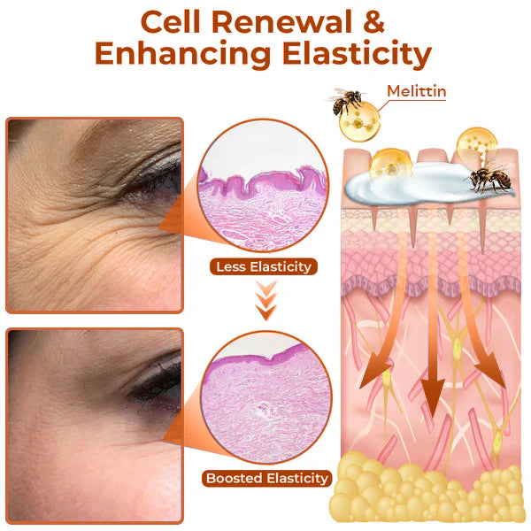 🐝LOVILDS™ Collagen+ Bee Venom Wake Up Eye Cream - Image 3